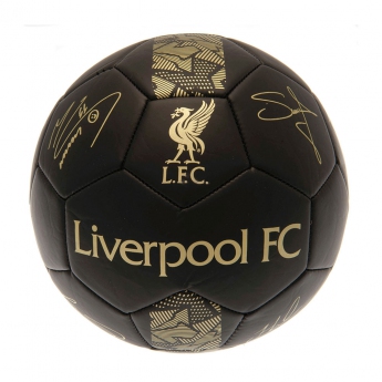 FC Liverpool fotbalový mini míč Skill Ball Signature Gold PH size 1