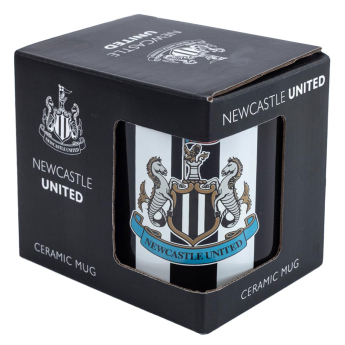 Newcastle United hrníček Striped