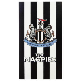 Newcastle United osuška striped design