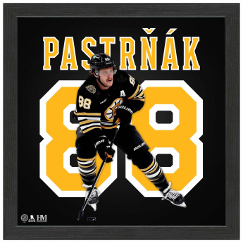 Boston Bruins obraz Highland Mint NHL David Pastrňák