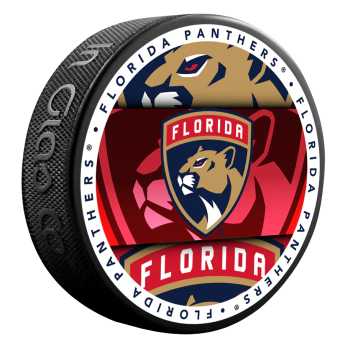 Florida Panthers puk Medallion Souvenir Collector