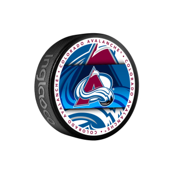 Colorado Avalanche puk Medallion Souvenir Collector