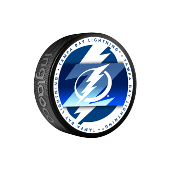 Tampa Bay Lightning puk Medallion Souvenir Collector