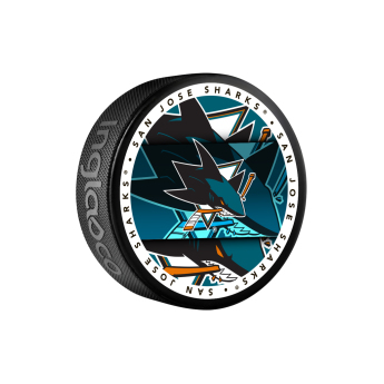 San Jose Sharks puk Medallion Souvenir Collector Puck