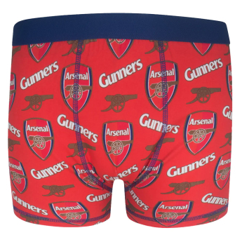 FC Arsenal dětské boxerky Multi crest