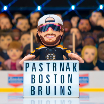 Boston Bruins plyšový hráč David Pastrňák