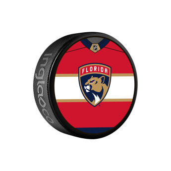 Florida Panthers puk Jersey Design Souvenir Collector Hockey