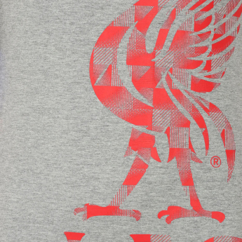 FC Liverpool pánské tričko Graphic grey